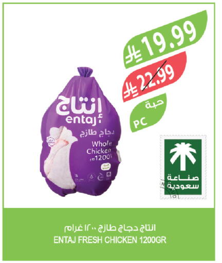 available at Farm  in KSA, Saudi Arabia, Saudi - Yanbu