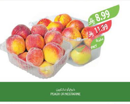 Peach Nectarine available at Farm  in KSA, Saudi Arabia, Saudi - Najran