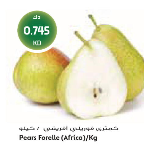 available at جراند كوستو in الكويت - مدينة الكويت