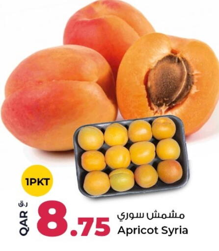 Apricot from Syria available at روابي هايبرماركت in قطر - الشمال