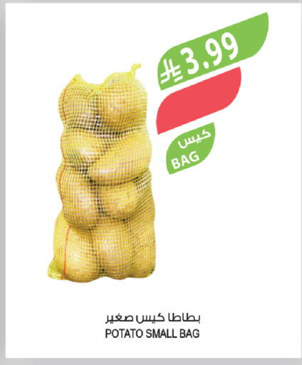 Potato available at المزرعة in مملكة العربية السعودية, السعودية, سعودية - الباحة