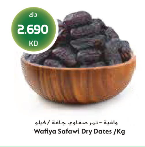 available at جراند كوستو in الكويت - مدينة الكويت