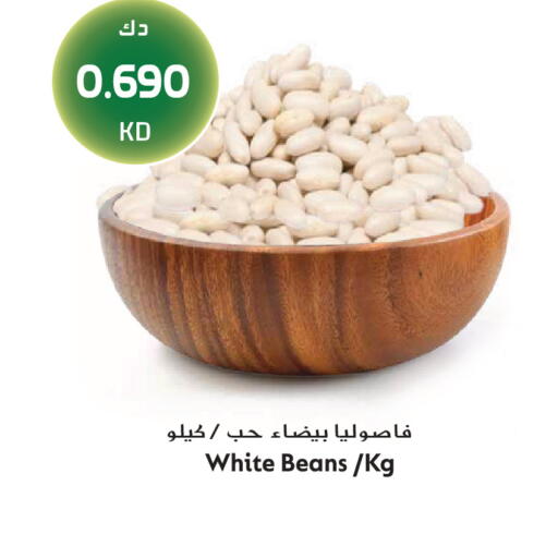 available at Grand Hyper in Kuwait - Jahra Governorate
