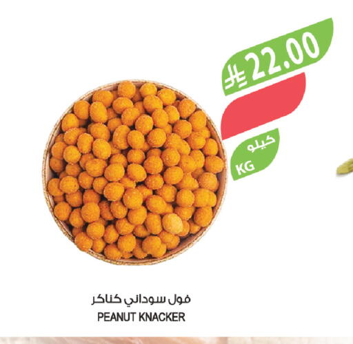 available at المزرعة in مملكة العربية السعودية, السعودية, سعودية - سكاكا