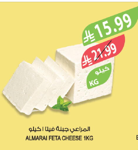 available at Farm  in KSA, Saudi Arabia, Saudi - Yanbu
