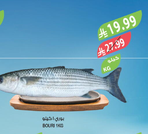 available at المزرعة in مملكة العربية السعودية, السعودية, سعودية - الباحة