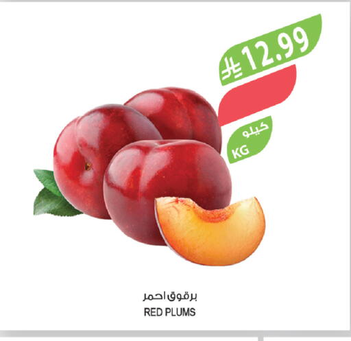 Plums available at المزرعة in مملكة العربية السعودية, السعودية, سعودية - سكاكا