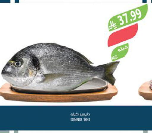 available at Farm  in KSA, Saudi Arabia, Saudi - Abha
