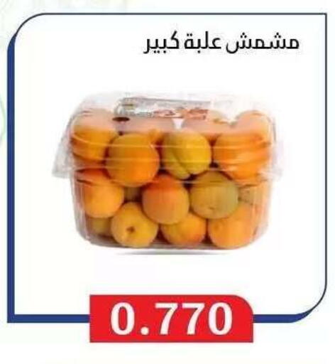 available at Al Masayel co-op  in Kuwait - Jahra Governorate