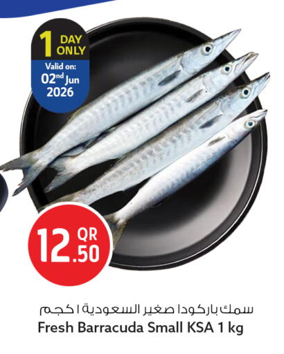 available at سفاري هايبر ماركت in قطر - الريان