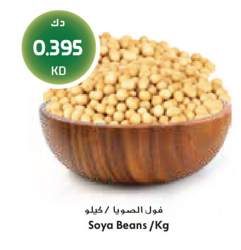 available at Grand Costo in Kuwait - Kuwait City
