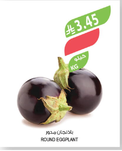 Eggplant available at المزرعة in مملكة العربية السعودية, السعودية, سعودية - سكاكا
