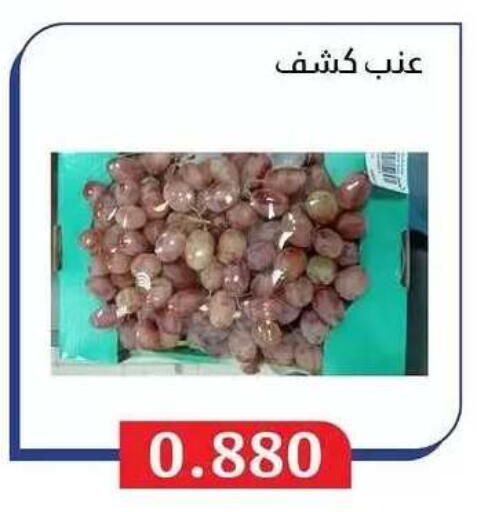 available at Al Masayel co-op  in Kuwait - Jahra Governorate