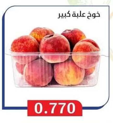 available at Al Masayel co-op  in Kuwait - Jahra Governorate