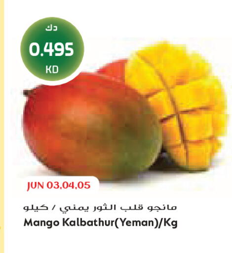 Mango available at جراند كوستو in الكويت - مدينة الكويت