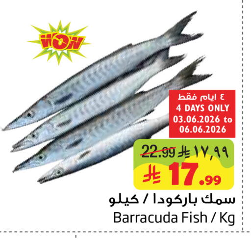available at ليان هايبر in مملكة العربية السعودية, السعودية, سعودية - المنطقة الشرقية