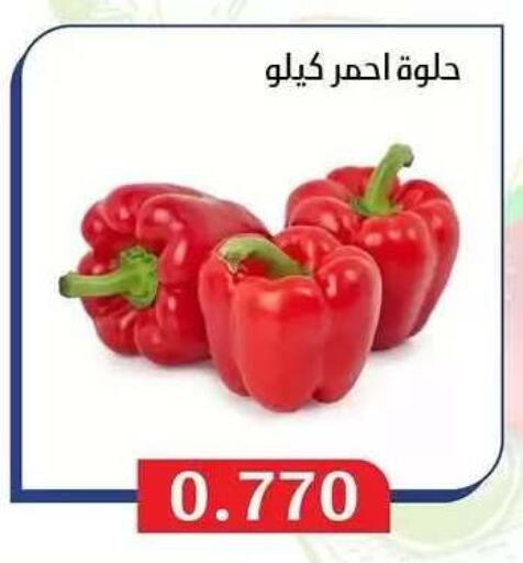 available at Al Masayel co-op  in Kuwait - Jahra Governorate