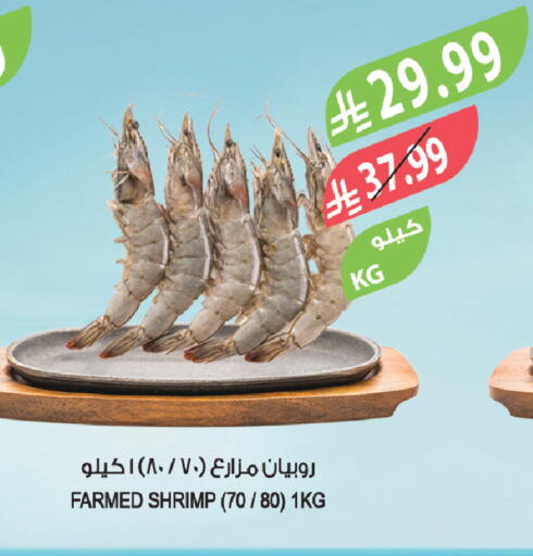 available at المزرعة in مملكة العربية السعودية, السعودية, سعودية - الباحة