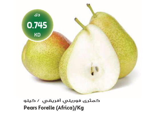 available at Grand Hyper in Kuwait - Jahra Governorate