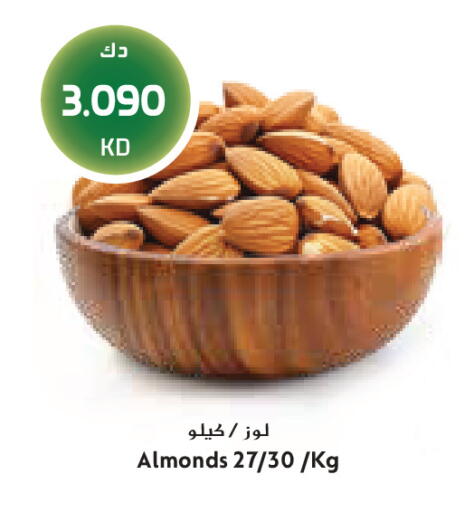 available at جراند كوستو in الكويت - مدينة الكويت