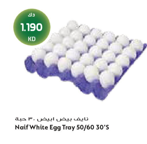 available at Grand Costo in Kuwait - Kuwait City