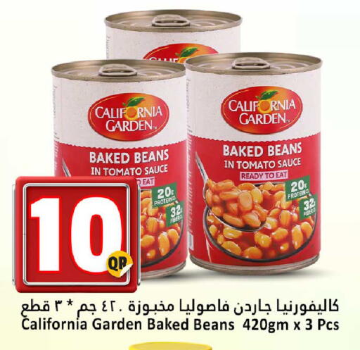 Tomato available at دانة هايبرماركت in قطر - الضعاين