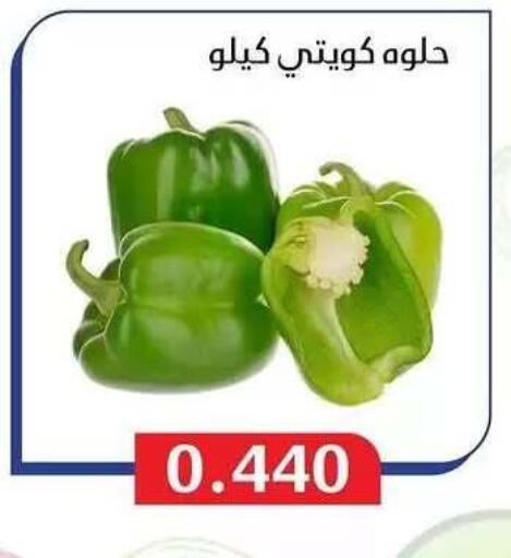 available at Al Masayel co-op  in Kuwait - Jahra Governorate