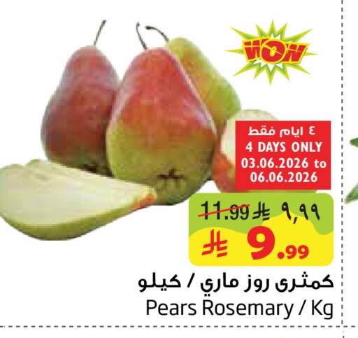 Rosemary available at ليان هايبر in مملكة العربية السعودية, السعودية, سعودية - المنطقة الشرقية