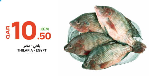 available at البلدي اليوم in قطر - الشحانية