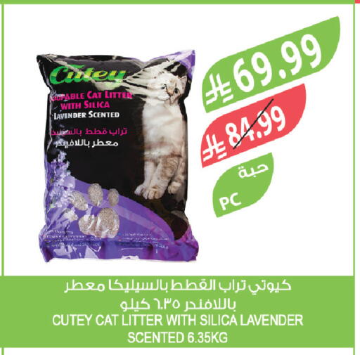 available at المزرعة in مملكة العربية السعودية, السعودية, سعودية - سكاكا