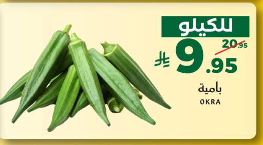 Okra available at ميرا مارت مول in مملكة العربية السعودية, السعودية, سعودية - جدة