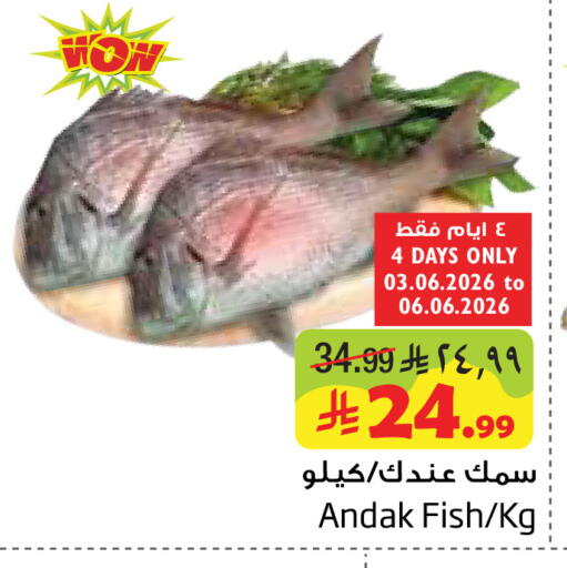 available at ليان هايبر in مملكة العربية السعودية, السعودية, سعودية - المنطقة الشرقية