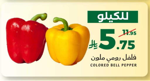 Bell Pepper available at ميرا مارت مول in مملكة العربية السعودية, السعودية, سعودية - جدة