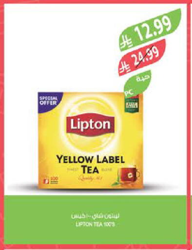 available at Farm  in KSA, Saudi Arabia, Saudi - Najran