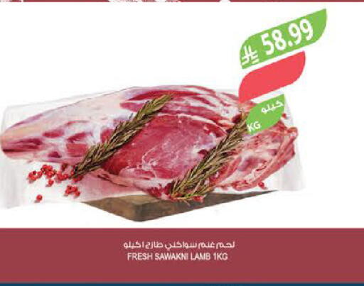 available at Farm  in KSA, Saudi Arabia, Saudi - Jazan
