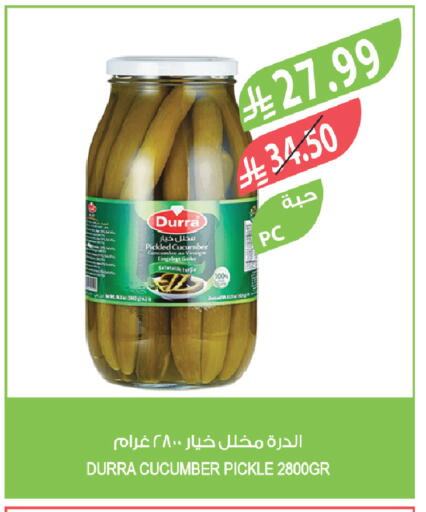 Cucumber available at المزرعة in مملكة العربية السعودية, السعودية, سعودية - جدة