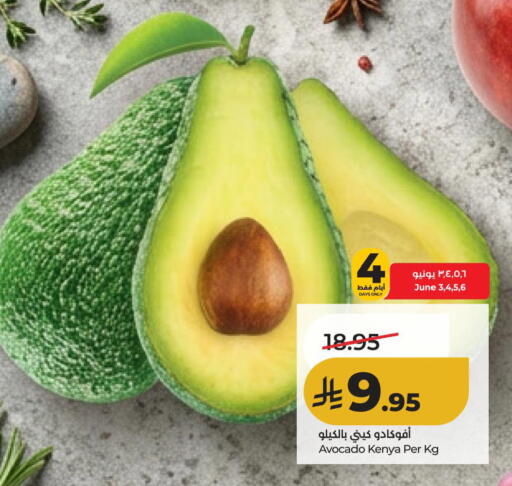 Avocado from Kenya available at لولو هايبرماركت in مملكة العربية السعودية, السعودية, سعودية - الأحساء‎