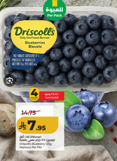 Blueberry BlueBerry from Morocco available at لولو هايبرماركت in مملكة العربية السعودية, السعودية, سعودية - الأحساء‎
