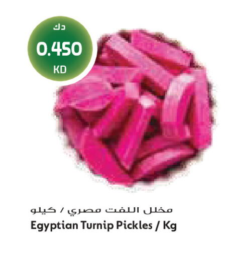 Turnip available at Grand Costo in Kuwait - Kuwait City