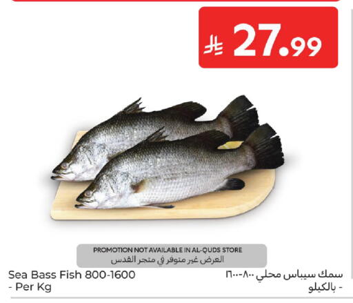 available at Carrefour in KSA, Saudi Arabia, Saudi - Sakaka