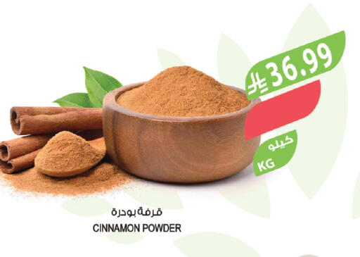 Cinnamon available at المزرعة in مملكة العربية السعودية, السعودية, سعودية - سكاكا
