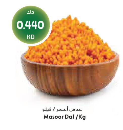 available at Grand Costo in Kuwait - Kuwait City