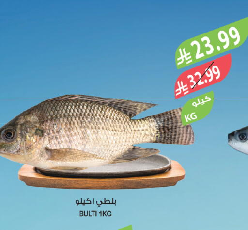 available at المزرعة in مملكة العربية السعودية, السعودية, سعودية - الباحة