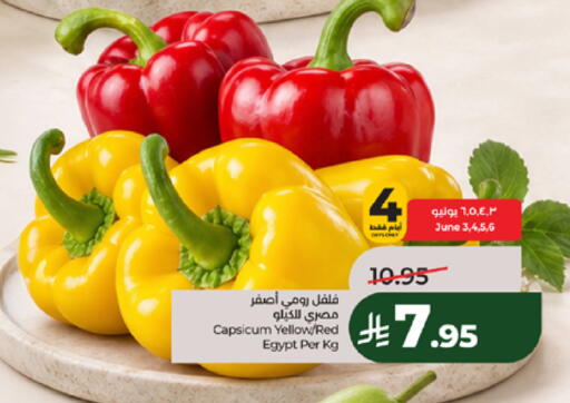 Capsicum from Egypt available at لولو هايبرماركت in مملكة العربية السعودية, السعودية, سعودية - مكة المكرمة