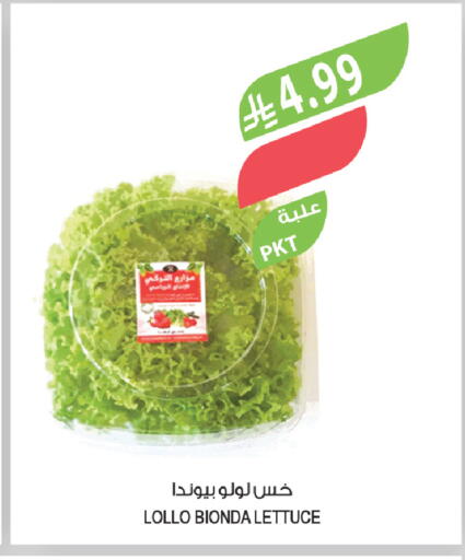 Lettuce available at المزرعة in مملكة العربية السعودية, السعودية, سعودية - سكاكا