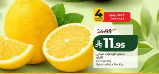 Lemon from South Africa available at لولو هايبرماركت in مملكة العربية السعودية, السعودية, سعودية - مكة المكرمة