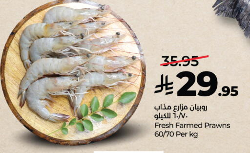 available at لولو هايبرماركت in مملكة العربية السعودية, السعودية, سعودية - خميس مشيط