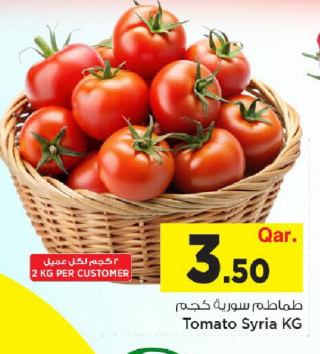 Tomato from Syria available at مارك & سيف in قطر - الوكرة