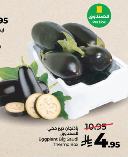 Eggplant from Saudi Arabia available at لولو هايبرماركت in مملكة العربية السعودية, السعودية, سعودية - خميس مشيط