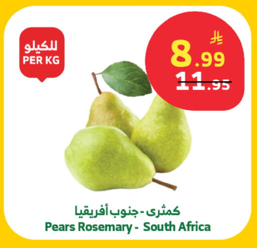 Rosemary from South Africa available at Al Raya in KSA, Saudi Arabia, Saudi - Khamis Mushait